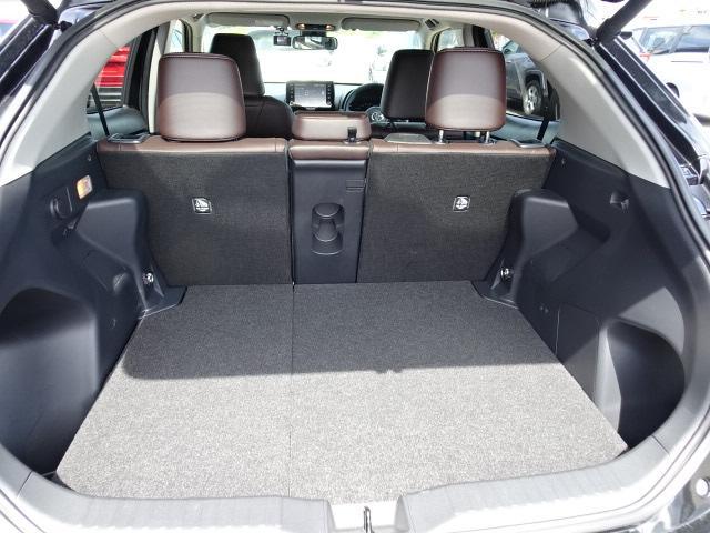 1002443A30250822W00109.jpg