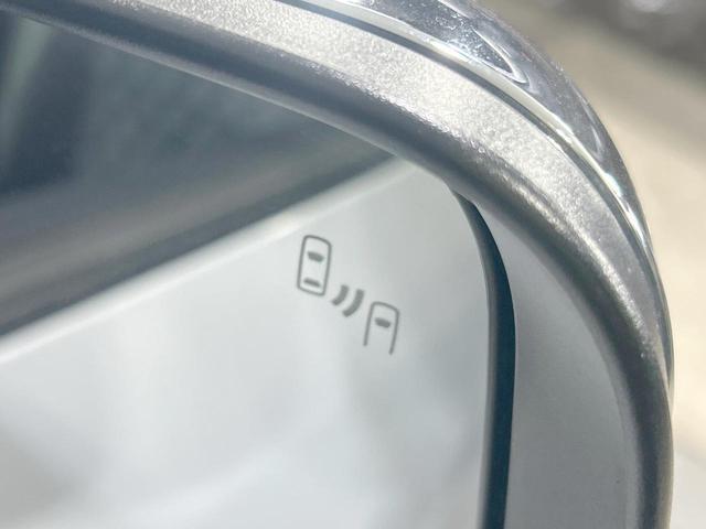 22582829_carP_l_13.jpg
