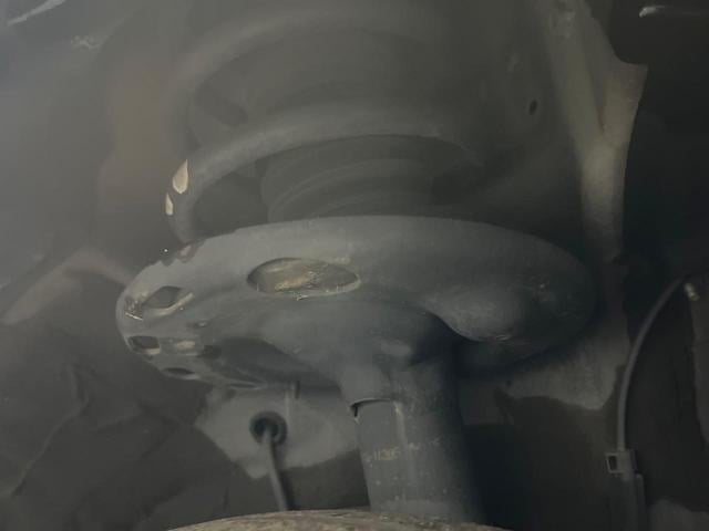 20728433_carP_l_20.jpg