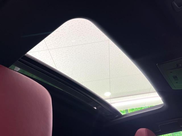 19070344_carP_l_15.jpg