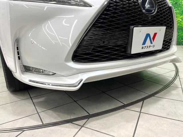 19070344_carP_l_4.jpg