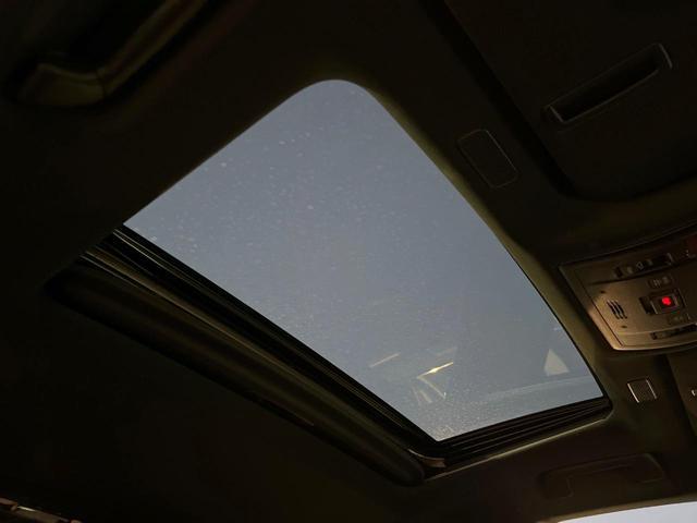 21200846_carP_l_10.jpg