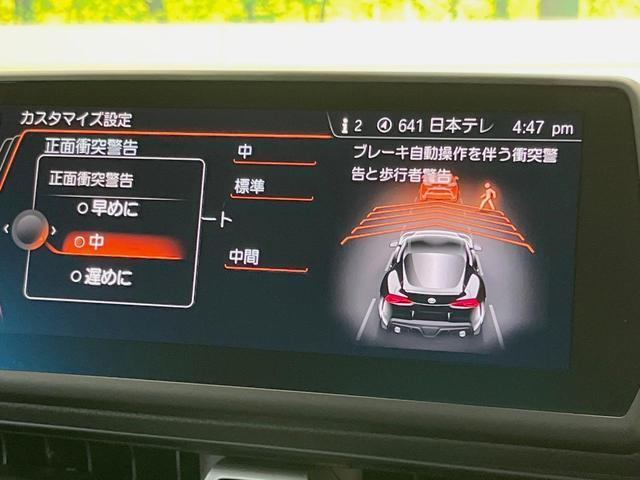 21817040_carP_l_14.jpg
