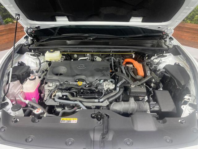23015354_carP_l_18.jpg