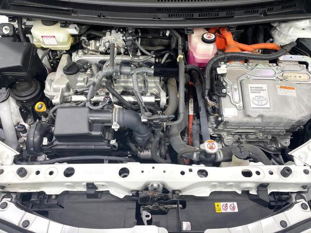 22373459_carP_l_16.jpg