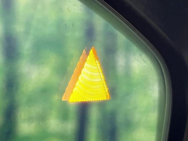 18939016_carP_l_14.jpg