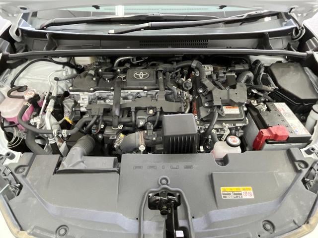 19897740_carP_l_16.jpg