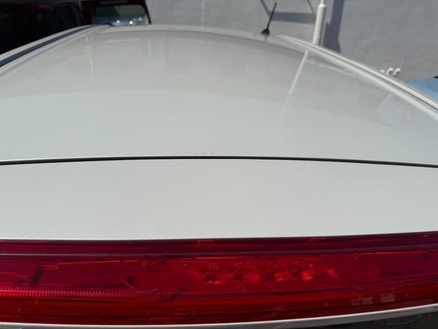19782344_carP_l_16.jpg