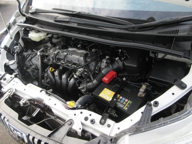 21497564_carP_l_20.jpg