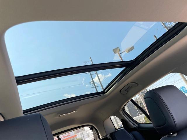 22936468_carP_l_4.jpg
