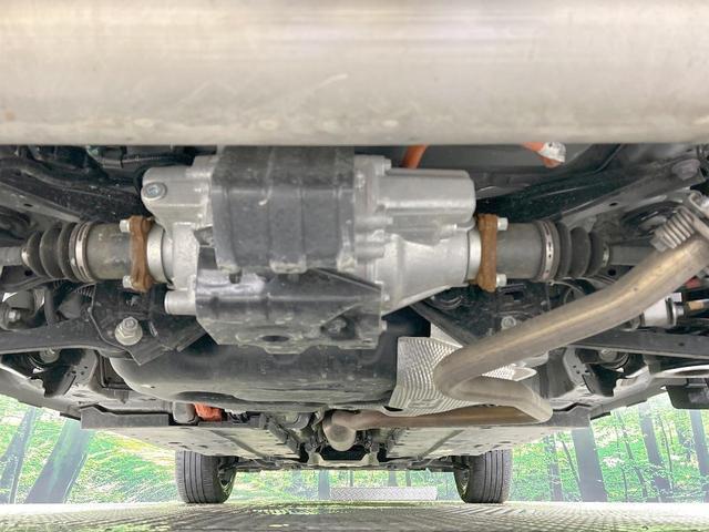 21747545_carP_l_20.jpg