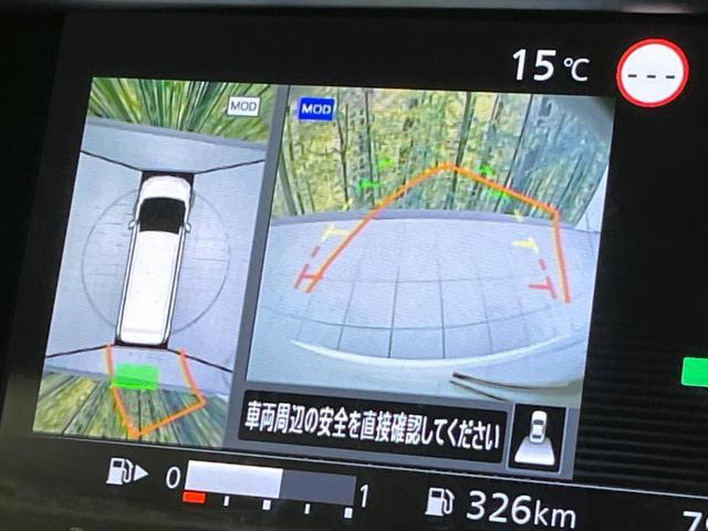 20297329_carP_l_14.jpg
