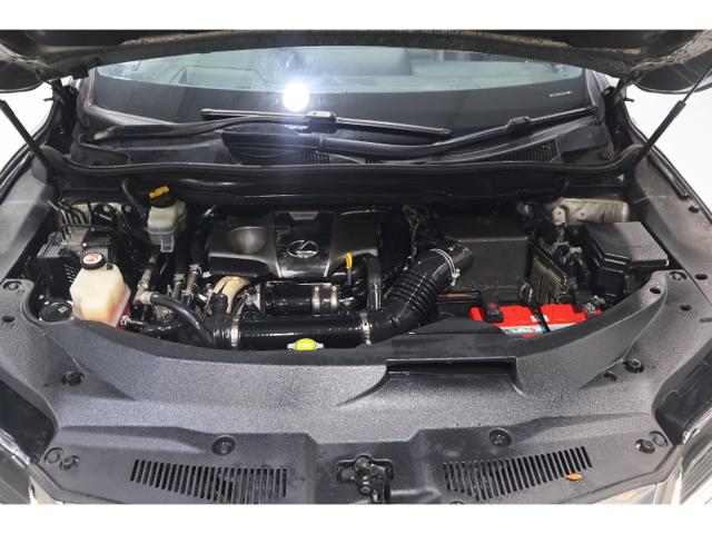 11208e462371b7d3c92a81d8e528dfb1.jpeg
