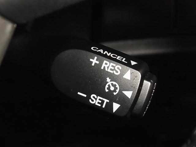 0500075A20260125K01318.jpg