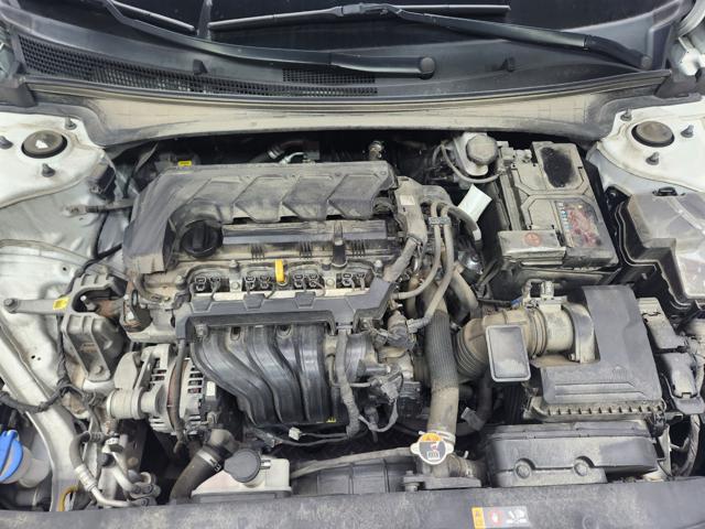 lotterental_154656404_VQsW5_8.jpg