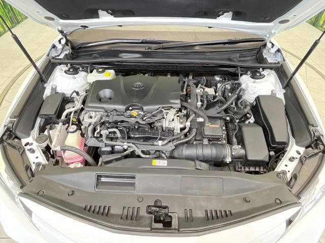 23149191_carP_l_16.jpg