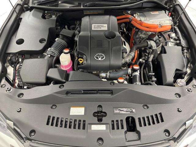 20384112_carP_l_20.jpg