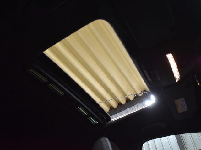 22984653_carP_l_10.jpg