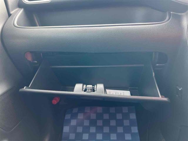 21526572_carP_l_6.jpg