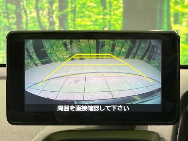 22916201_carP_l_4.jpg