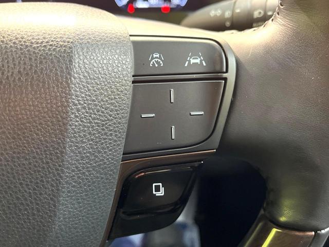 21965849_carP_l_14.jpg