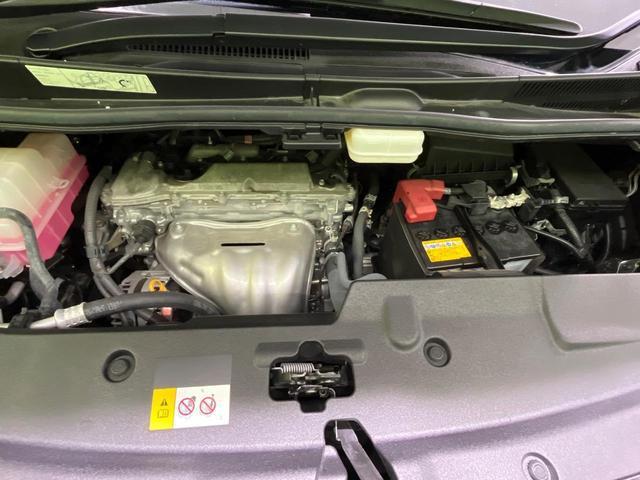 23014857_carP_l_16.jpg