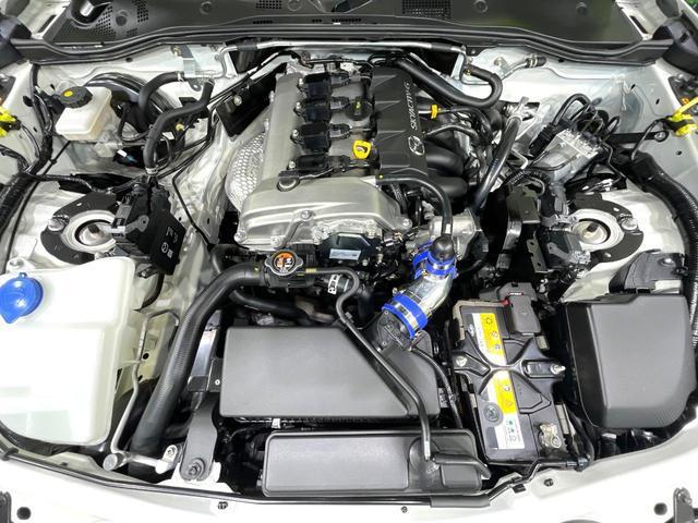 21132507_carP_l_16.jpg