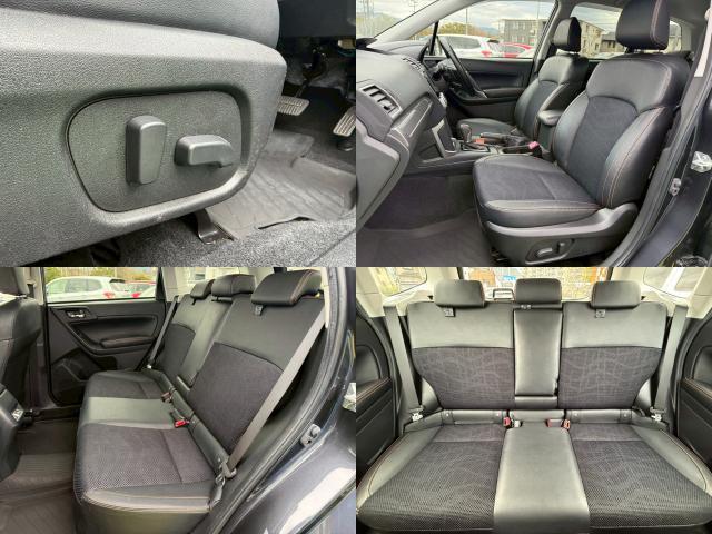 22737173_carP_l_14.jpg