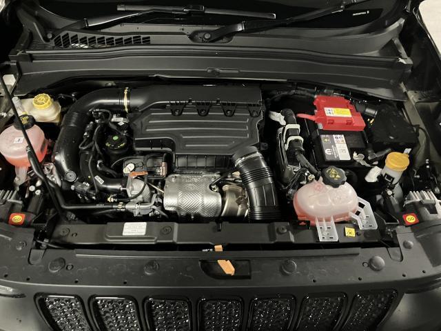 21290188_carP_l_19.jpg