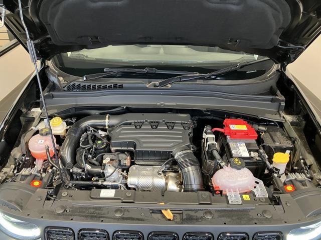 19786957_carP_l_19.jpg