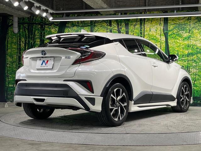 23074513_carP_l_12.jpg