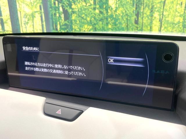 20833004_carP_l_4.jpg
