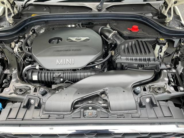 21267033_carP_l_19.jpg