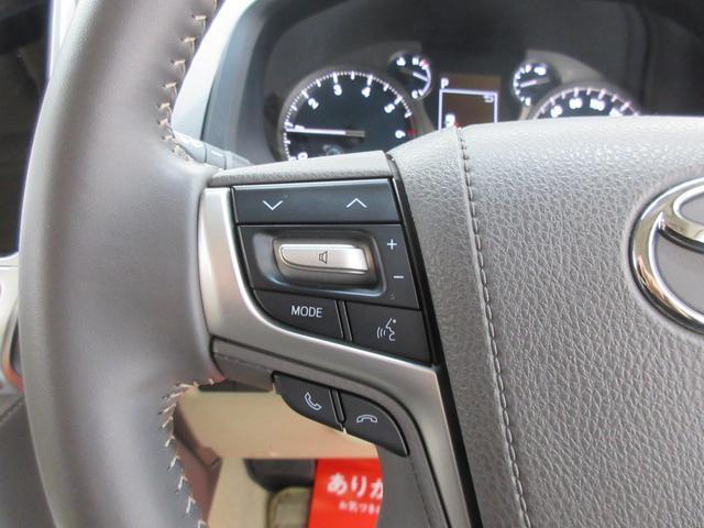 21236200_carP_l_8.jpg