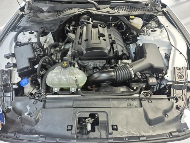 5121501323R5.jpg