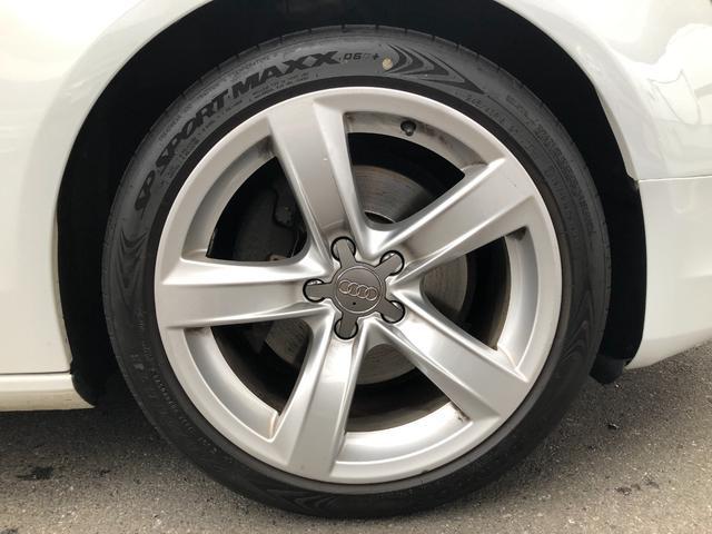 9572574A30260217W01210.jpg