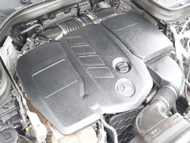 22213923_carP_l_13.jpg