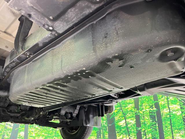 22699442_carP_l_8.jpg