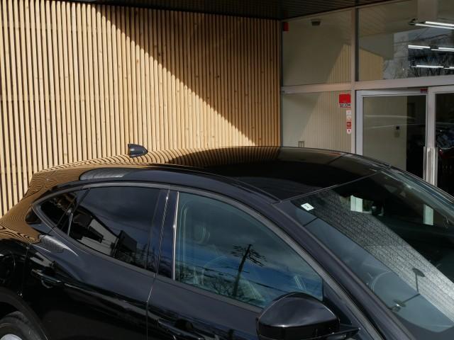 21836911_carP_l_12.jpg