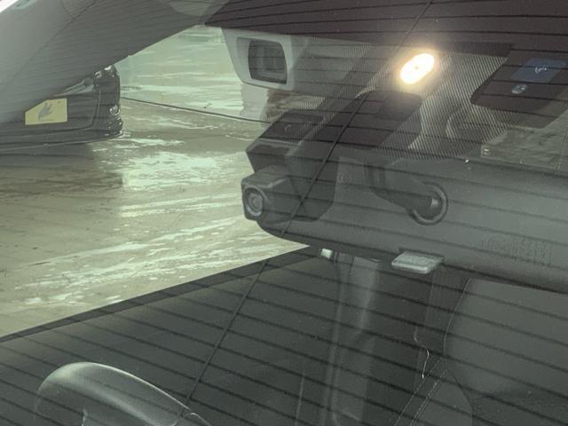 21450398_carP_l_11.jpg