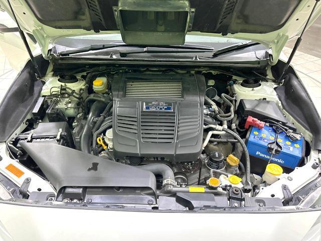 21114748_carP_l_16.jpg