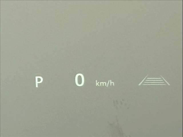 20935296_carP_l_13.jpg