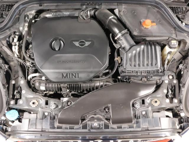 16568111_carP_l_17.jpg