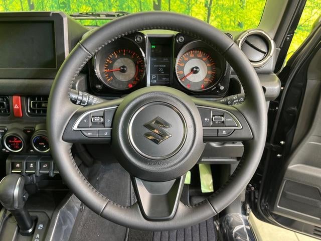 19353024_carP_l_5.jpg