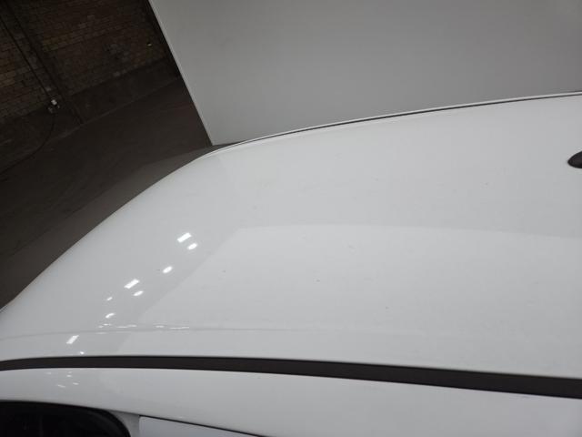 lotterental_203927443_AY5ak_7.jpg