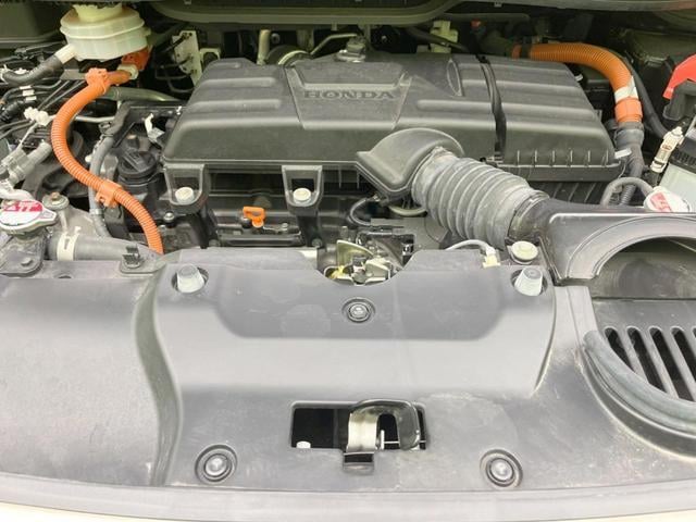 19506473_carP_l_20.jpg