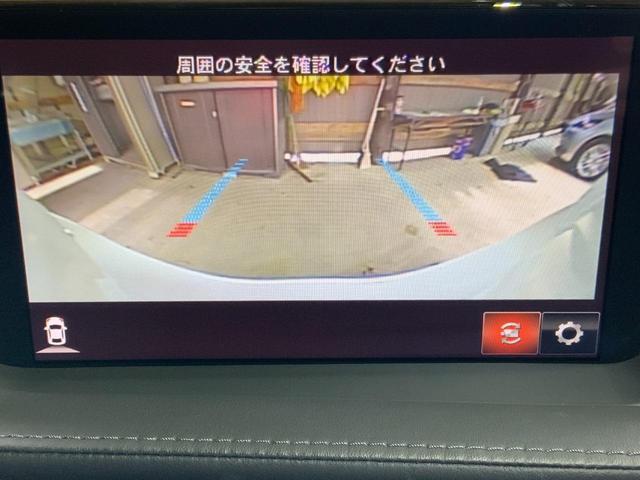 22002866_carP_l_11.jpg