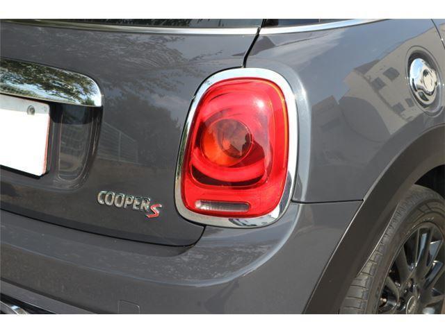 5596186_carP_l_7.jpg