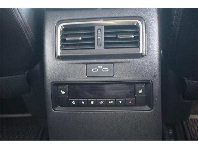 098d2daa4504185edd1a870edc99d991.jpg