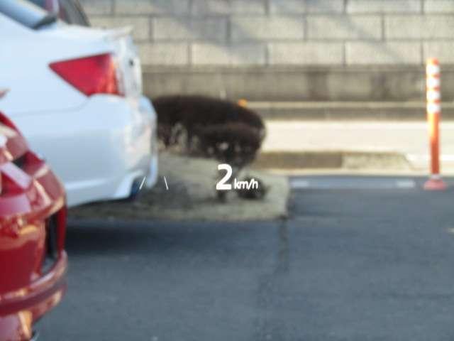22097266_carP_l_8.jpg